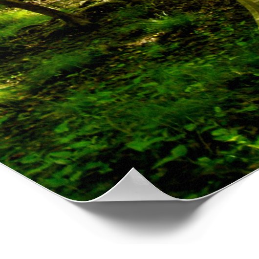 16x20 Plakat - Waldweg (Ecke)