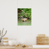 16x20 Plakatpapier (Matte) aus Grizzlybär Poster (Küche)