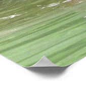 16x20 Plakatpapier (Matte) aus Grizzlybär Poster (Ecke)