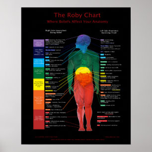 16x20" Roby Chart: Wo Überzeugungen die Anatomie b Poster