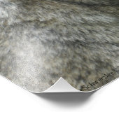 16X20 Roter Wolf Fotodruck (Ecke)