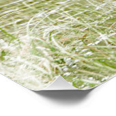 16x20 Satin Foto Elch (Ecke)