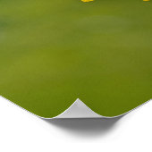 16x20 Single Sonnenblume drucken Poster (Ecke)