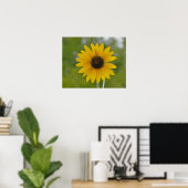16x20 Single Sonnenblume drucken Poster (Heimbüro)