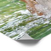 16x20 Value Poster Paper (Matte) mit Grizzlybär (Ecke)