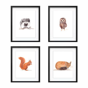 16x20 Waldtiere, Niedliche Wasserfarben, Set