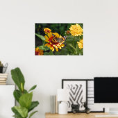 16x24 Indianerblanket-Wildblume und Schmetterling Poster (Heimbüro)