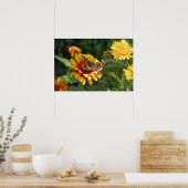 16x24 Indianerblanket-Wildblume und Schmetterling Poster (Küche)