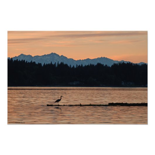 16X24 Sonnenuntergang auf den olympischen Bergen m Fotodruck (Vorne)