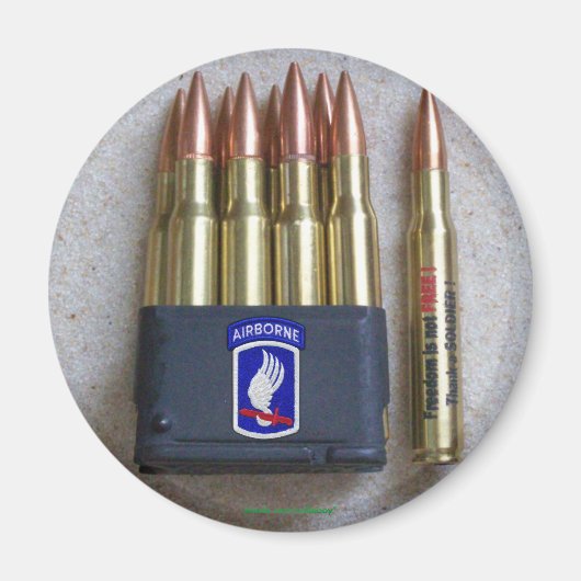 173. ABN BDE Im Flugzeug Brigade Sky Soldiers Vets Magnet (Vorne)