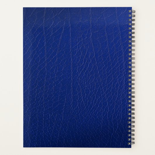 173. Im Flugzeug Brigade Planer (Rückseite)