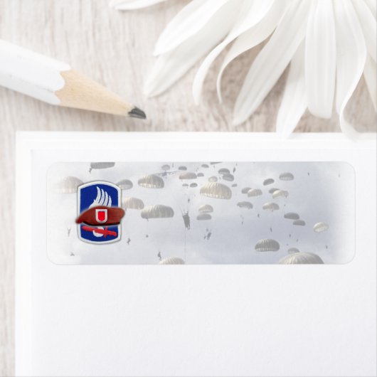 173. im Flugzeug Division Beret Patch Rücksendeadr (Insitu)