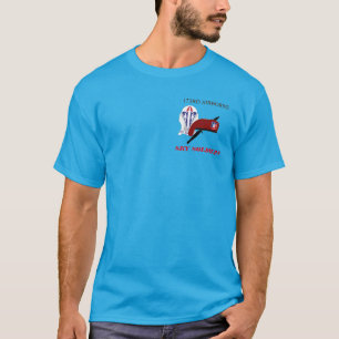 173RD IM FLUGZEUG BDE T-Shirt