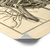 1744 Augen Gehirn Kraniale Nerven Anatomie Print Poster (Ecke)