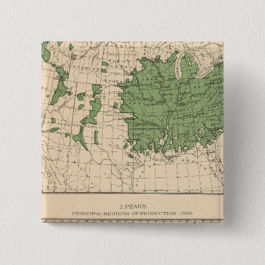 174 Äpfel, Birnen, Hauptregionen Button (Vorderseite)