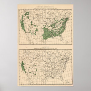 176 Pfirsiche, Nektarinen, Aprikosen Poster