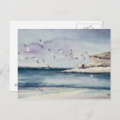 1774 Seagulls bei Sandy Beach Postcard Postkarte (Vorne/Hinten)