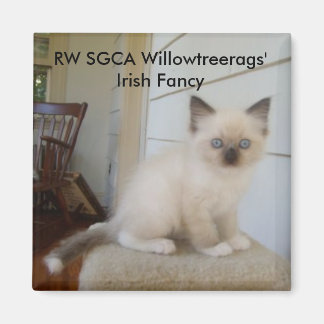 178, irisches Extravagante der RW SGCA Willowtreer Magnet