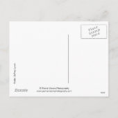 17979 Weihnachten (Rückseite)