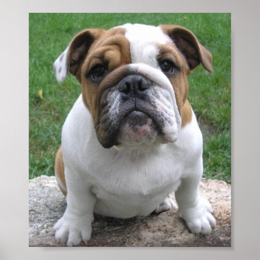 17.05.003 POSTER (Vorne)