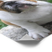 17.05.003 POSTER (Ecke)