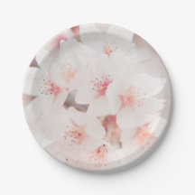 17,78cm Runder Pappteller