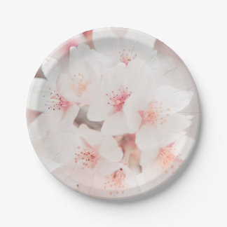 17,78cm Runder Pappteller