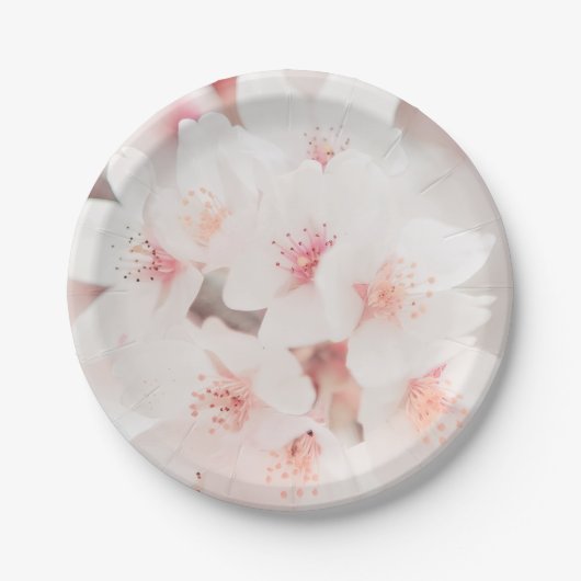 17,78cm Runder Pappteller (Vorderseite)