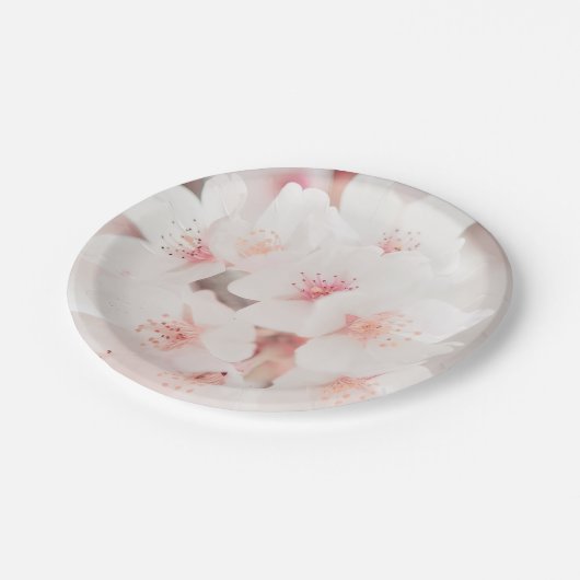 17,78cm Runder Pappteller (Schrägansicht)