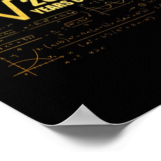 17th Birthday Square Root of 289 17 Years Old Poster (Ecke)