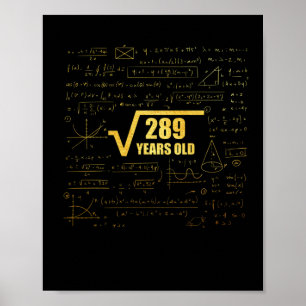 17th Birthday Square Root of 289 17 Years Old Poster