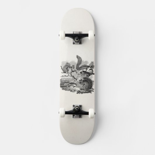 1800s Vintage Eichhörnchen-Illustration - Skateboard (Vorderseite)