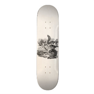 1800s Vintage Eichhörnchen-Illustration - Skateboard