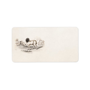 1800s Vintage persische Schaf-altes Adressaufkleber