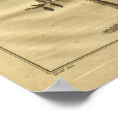 1817 Verbotene Fruchtklatsche Kräuterwerbung Poster (Ecke)