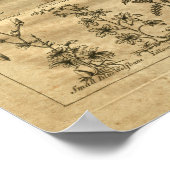 1817 Wormwood Yucca Culpeper Herbal Print Poster (Ecke)