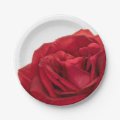 1822-Rote Hochzeit-Rose Pappteller (Vorderseite)