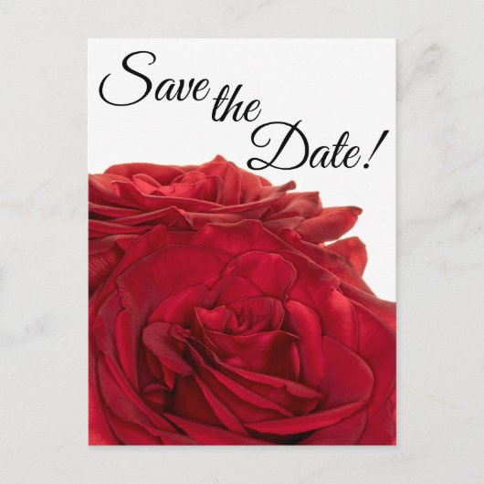 1824-Rote Rosen Postkarte (Vorderseite)