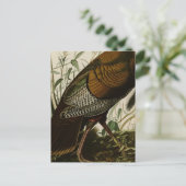 1825 Vintage wilde Türkei Postkarte (Stehend Vorderseite)