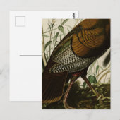 1825 Vintage wilde Türkei Postkarte (Vorne/Hinten)