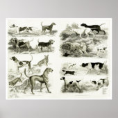 1830 Hunde - Archivdruck Poster (Vorne)