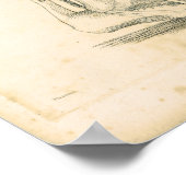 1833 Beinmuskeln Vintage Anatomie Druck Poster (Ecke)