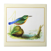 1833 Liverpool Archiv | Eisvogel Dekorativ