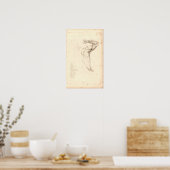 1833 Muskeln der Vintagen Schulteranatomie drucken Poster (Küche)