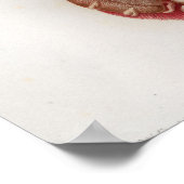 1833 Vintages Viscera Organs Anatomie Poster (Ecke)