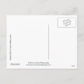 18367 Christmas Feiertagspostkarte (Rückseite)