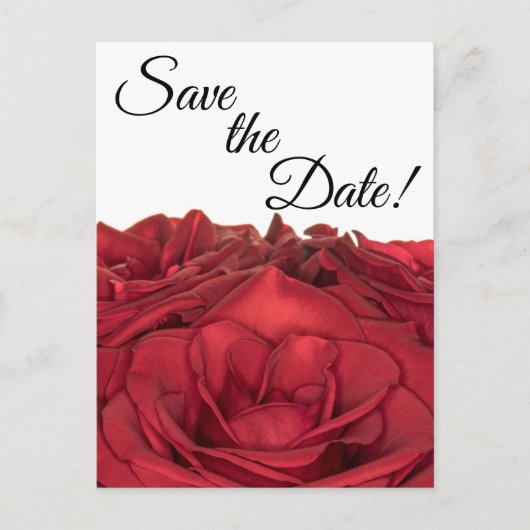 1840-Rote Rosen Postkarte (Vorderseite)