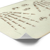 1844 Vintage Anatomie Druckhandknochen Poster (Ecke)