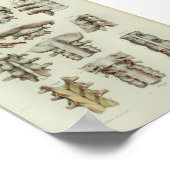 1844 Vintage Anatomie DruckWirbelsäule Poster (Ecke)