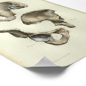 1844 Vintage Anatomie Print Beckenknochen Poster (Ecke)